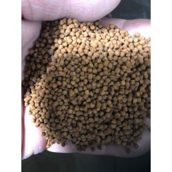 Growth 10kg Babies Pellet 1.7mm ** SINKING ** - Aqua Master Koi