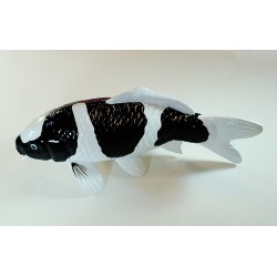 Koi Replica 