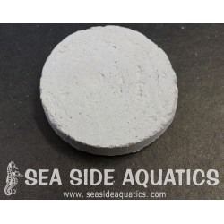 1.75" Cement Frag Disc 50 PACK
