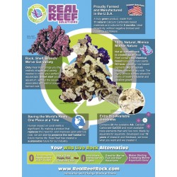 Reef Turbinaria Cup / Plate Rock 10pcs - Real Reef