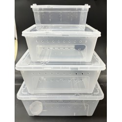 Large Reptile Breeding Box 13.25" x 9" x 6" (PB03)