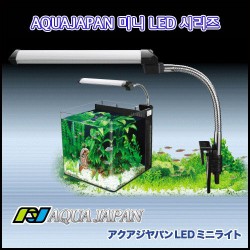 Aqua Japan All In One Tank 