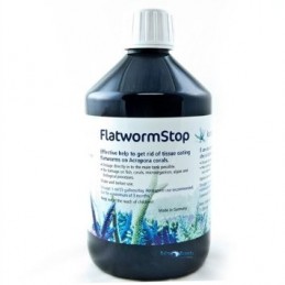 Korallen-Zucht FlatwormStop 500ml