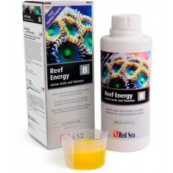 Reef Energy B 500ml