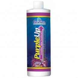 CaribSea - PurpleUp - Coralline Algae Accelerator 16oz