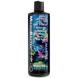 Brightwell Aquatics MicroBacter Start XLM 250ml