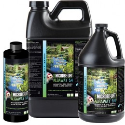 Microbe-Lift Algaway 5.4 Algaecide 16oz