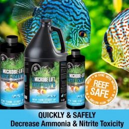 Nite-Out II Aquarium 16oz - Microbe-Lift