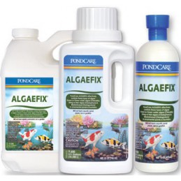 API Pond Care AlgaeFix 32oz