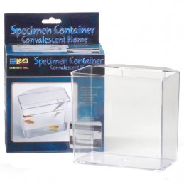 Small Fish Specimen Container - Lee's Aquarium