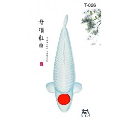 T026 - Tancho Kohaku