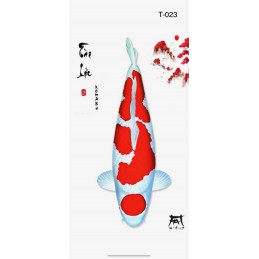 T023 - Kohaku